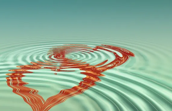 Fortune Casino Soporte